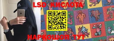 крисы Боровичи