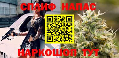 крисы Боровичи