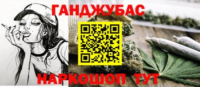 крисы Боровичи